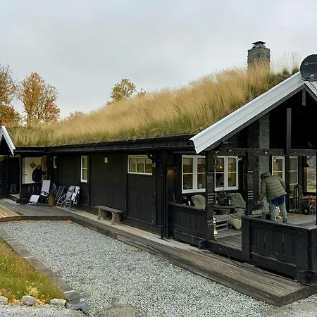 Log At The Foot Of Hallingskarvet *