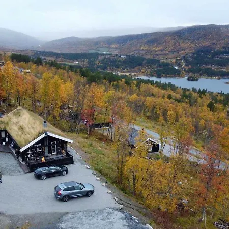 Log At The Foot Of Hallingskarvet