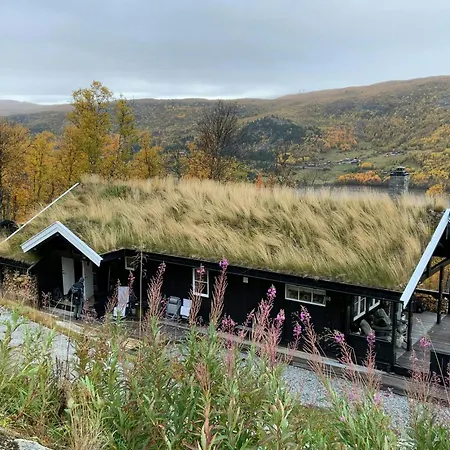 Log At The Foot Of Hallingskarvet Hovet
