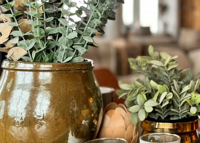 Log At The Foot Of Hallingskarvet