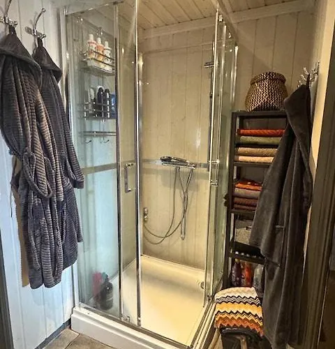 Log At The Foot Of Hallingskarvet Hovet