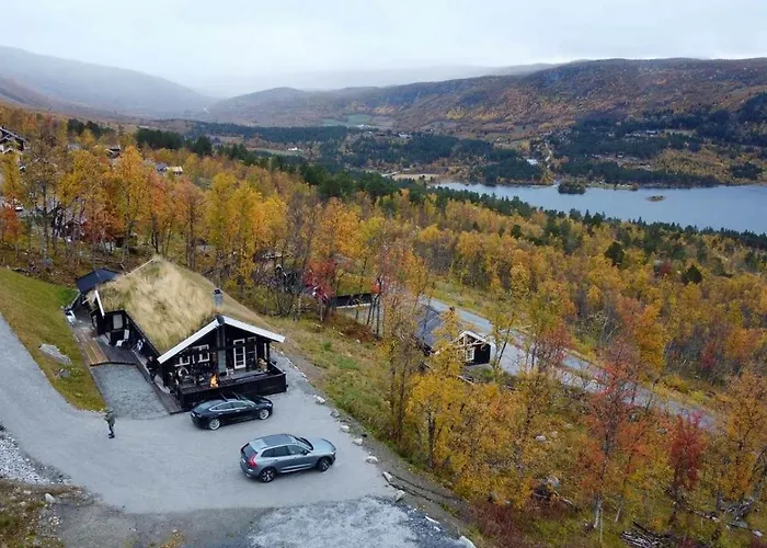 Log At The Foot Of Hallingskarvet