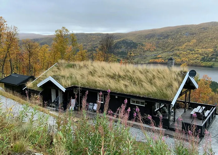 Log At The Foot Of Hallingskarvet Hovet