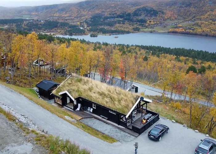 Log At The Foot Of Hallingskarvet * Hovet